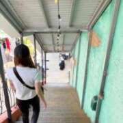 ヒメ日記 2025/12/03 14:39 投稿 冴木　さき クラブ　ブレンダ茨木・枚方店