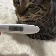 ヒメ日記 2025/12/09 14:27 投稿 冴木　さき クラブ　ブレンダ茨木・枚方店