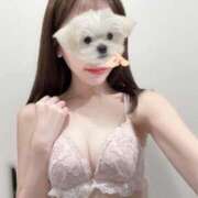 桃井 ひめ ゆっくり、くっつく日🫶🏻 ホットアロマ