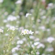 ヒメ日記 2025/10/02 20:57 投稿 ちあ ミルキーウェイ（近江八幡）