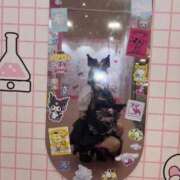 ヒメ日記 2025/10/10 16:39 投稿 ちあ ミルキーウェイ（近江八幡）