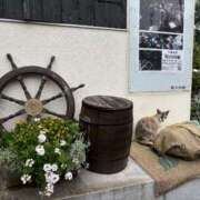 ヒメ日記 2025/10/11 17:48 投稿 ちあ ミルキーウェイ（近江八幡）