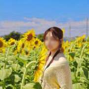 ヒメ日記 2025/10/12 07:54 投稿 ちあ ミルキーウェイ（近江八幡）