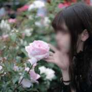 ヒメ日記 2025/11/10 07:43 投稿 ちあ ミルキーウェイ（近江八幡）