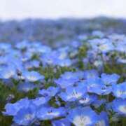 ヒメ日記 2026/05/08 12:10 投稿 ちあ ミルキーウェイ（近江八幡）