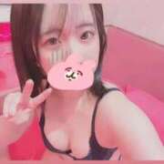 ヒメ日記 2026/01/01 06:21 投稿 かすみ マリン土浦本店