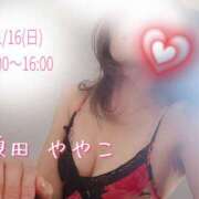 ヒメ日記 2025/11/15 19:49 投稿 須田ややこ 麗しいマダム