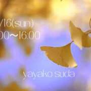 ヒメ日記 2025/11/16 09:01 投稿 須田ややこ 麗しいマダム