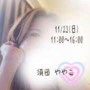 ヒメ日記 2025/11/23 08:16 投稿 須田ややこ 麗しいマダム