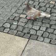 ヒメ日記 2025/09/30 22:37 投稿 ねいろ スピード日本橋店