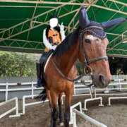 華丘美玲 変わらないという魅力 お姉さんCLUB