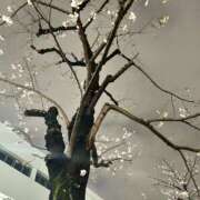 花里あい ※無題 麗しいマダム