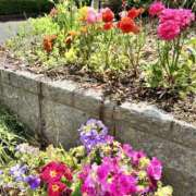 ヒメ日記 2026/04/26 00:30 投稿 花里あい 麗しいマダム