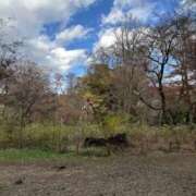 ヒメ日記 2025/12/15 07:35 投稿 花里あい 色気あるワイフ