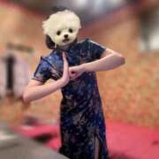 ヒメ日記 2025/12/07 17:41 投稿 みき コスプレアカデミー