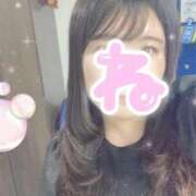 ヒメ日記 2025/10/10 21:09 投稿 ねる 白いぽっちゃりさん五反田店