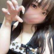 ヒメ日記 2025/10/20 11:26 投稿 ナノ ルパン