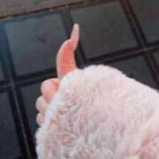 ヒメ日記 2025/12/13 21:20 投稿 ナノ ルパン