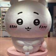 ヒメ日記 2026/04/23 18:56 投稿 平沢唯 YESグループ水戸　華女