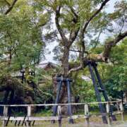 ヒメ日記 2026/04/27 11:00 投稿 ふうか ラブレター