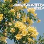 ふうか ※無題 ラブレター