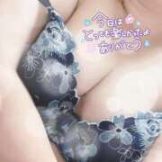 ヒメ日記 2025/12/14 23:25 投稿 花村 蒼依 こあくまな熟女たち 静岡店（KOAKUMAグループ）