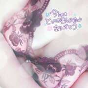 ヒメ日記 2025/12/19 23:01 投稿 花村 蒼依 こあくまな熟女たち 静岡店（KOAKUMAグループ）