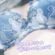 ヒメ日記 2025/12/28 17:00 投稿 花村 蒼依 こあくまな熟女たち 静岡店（KOAKUMAグループ）