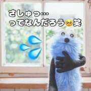 ヒメ日記 2026/03/13 17:55 投稿 花村 蒼依 こあくまな熟女たち 静岡店（KOAKUMAグループ）