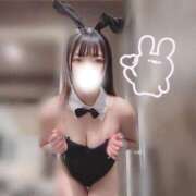 ヒメ日記 2026/05/03 05:45 投稿 みこ JAPAN CLUB BUNNY LOUNGE