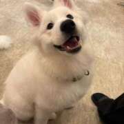 ヒメ日記 2026/05/21 11:51 投稿 みこ JAPAN CLUB BUNNY LOUNGE