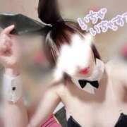 ヒメ日記 2026/05/23 00:27 投稿 みこ JAPAN CLUB BUNNY LOUNGE