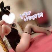 ヒメ日記 2026/06/21 00:30 投稿 みこ JAPAN CLUB BUNNY LOUNGE