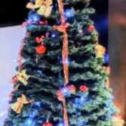 ヒメ日記 2025/12/14 10:32 投稿 如月（きさらぎ） 熟女の風俗最終章 大宮店