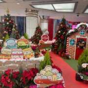 ヒメ日記 2025/11/24 06:43 投稿 みゆき 梅田アバンチュール