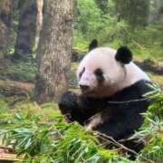 ヒメ日記 2026/01/26 08:52 投稿 みゆき 梅田アバンチュール