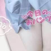 ヒメ日記 2025/10/02 02:00 投稿 みかん 子猫カフェ 小倉店