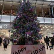 ヒメ日記 2025/11/25 22:50 投稿 一ノ瀬ひい やみつきエステ錦糸町店