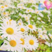 ヒメ日記 2025/09/29 15:44 投稿 四季(しき) あなたの妻