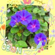 ヒメ日記 2026/02/12 13:54 投稿 四季(しき) あなたの妻