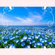 ヒメ日記 2026/02/13 11:57 投稿 四季(しき) あなたの妻