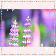 ヒメ日記 2026/02/22 13:41 投稿 四季(しき) あなたの妻