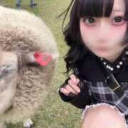 ヒメ日記 2025/10/10 21:19 投稿 くるみ ウルトラドリーム