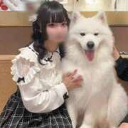 ヒメ日記 2025/11/04 22:09 投稿 くるみ ウルトラドリーム