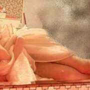 ヒメ日記 2025/11/12 14:46 投稿 おとめ ドンファン