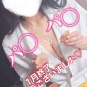 ヒメ日記 2026/02/01 19:04 投稿 松本るな アロマファンタジー高輪