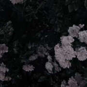 ヒメ日記 2026/02/10 17:57 投稿 ありす カリビアン