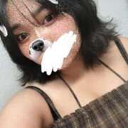 ヒメ日記 2025/11/26 02:42 投稿 ちなつ 奥様特急　上野・鶯谷店