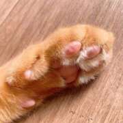 ヒメ日記 2025/11/28 12:31 投稿 琴美◇ことみ 人妻吐息