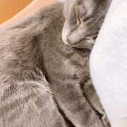 ヒメ日記 2026/01/08 14:31 投稿 琴美◇ことみ 人妻吐息